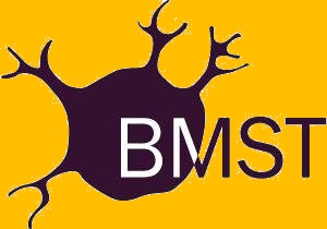 BMST logo 2015.jpg